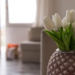 https://il-sole-in-casa.hotelitalianriviera.com